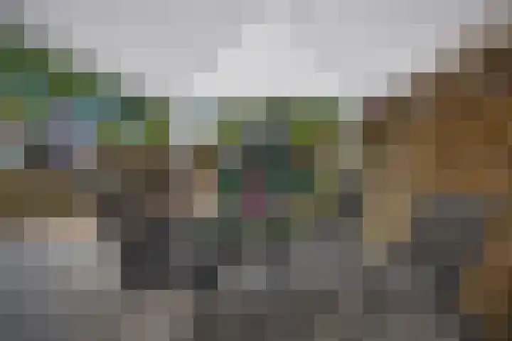Boonackers 38 Emmen thumbnail 31