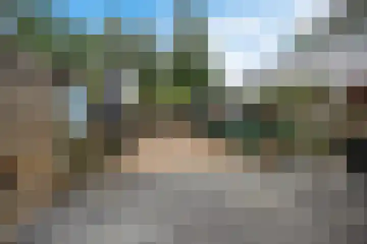 Boonackers 38 Emmen thumbnail 34