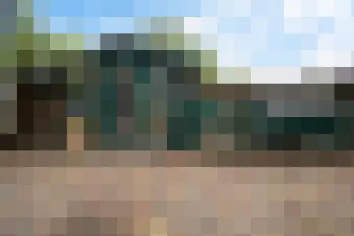 Boonackers 38 Emmen thumbnail 35