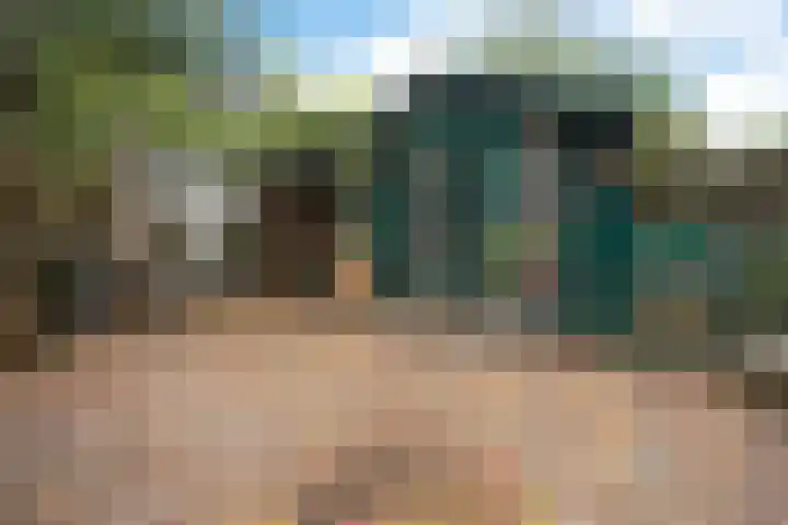 Boonackers 38 Emmen thumbnail 36