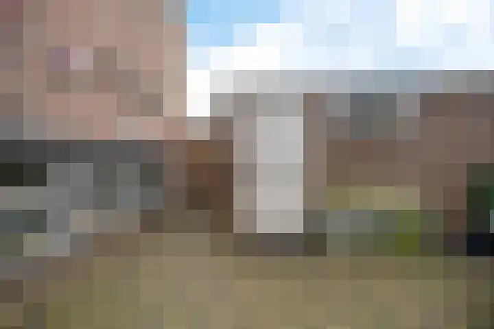 Boonackers 38 Emmen thumbnail 6