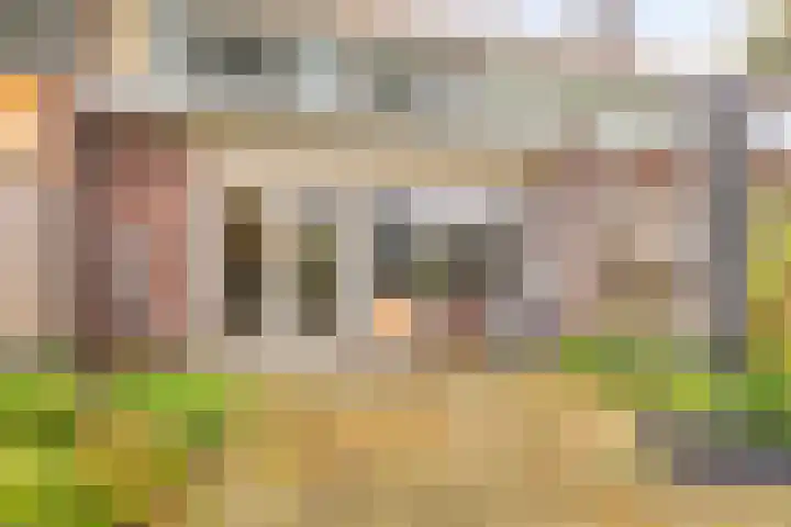 Boonackers 60 Emmen thumbnail 25