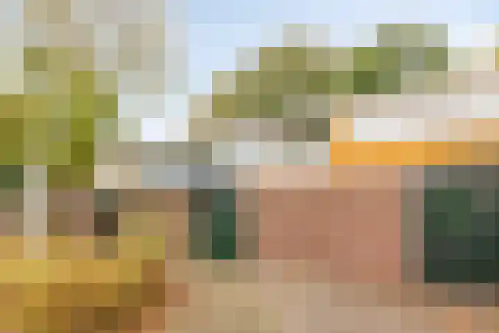 Boonackers 60 Emmen thumbnail 28