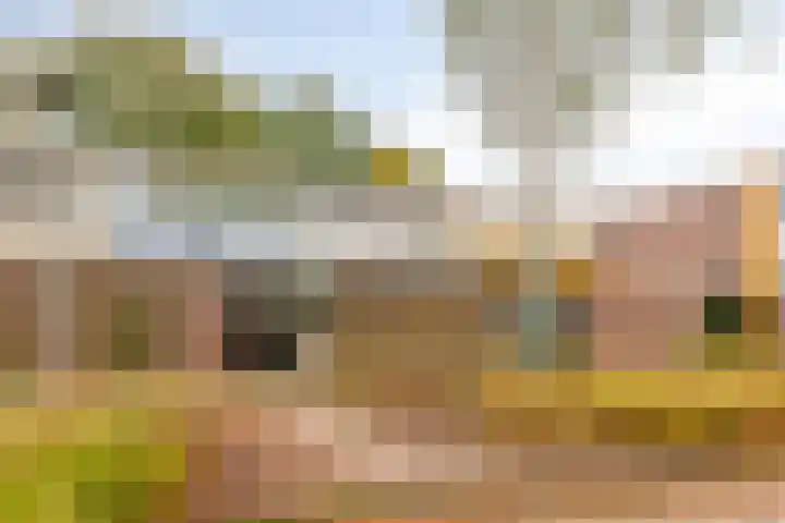 Boonackers 60 Emmen thumbnail 29