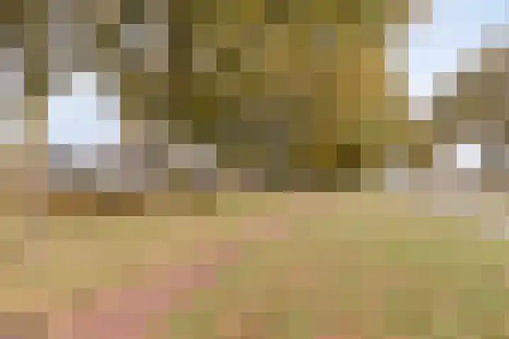 Boonackers 60 Emmen thumbnail 30