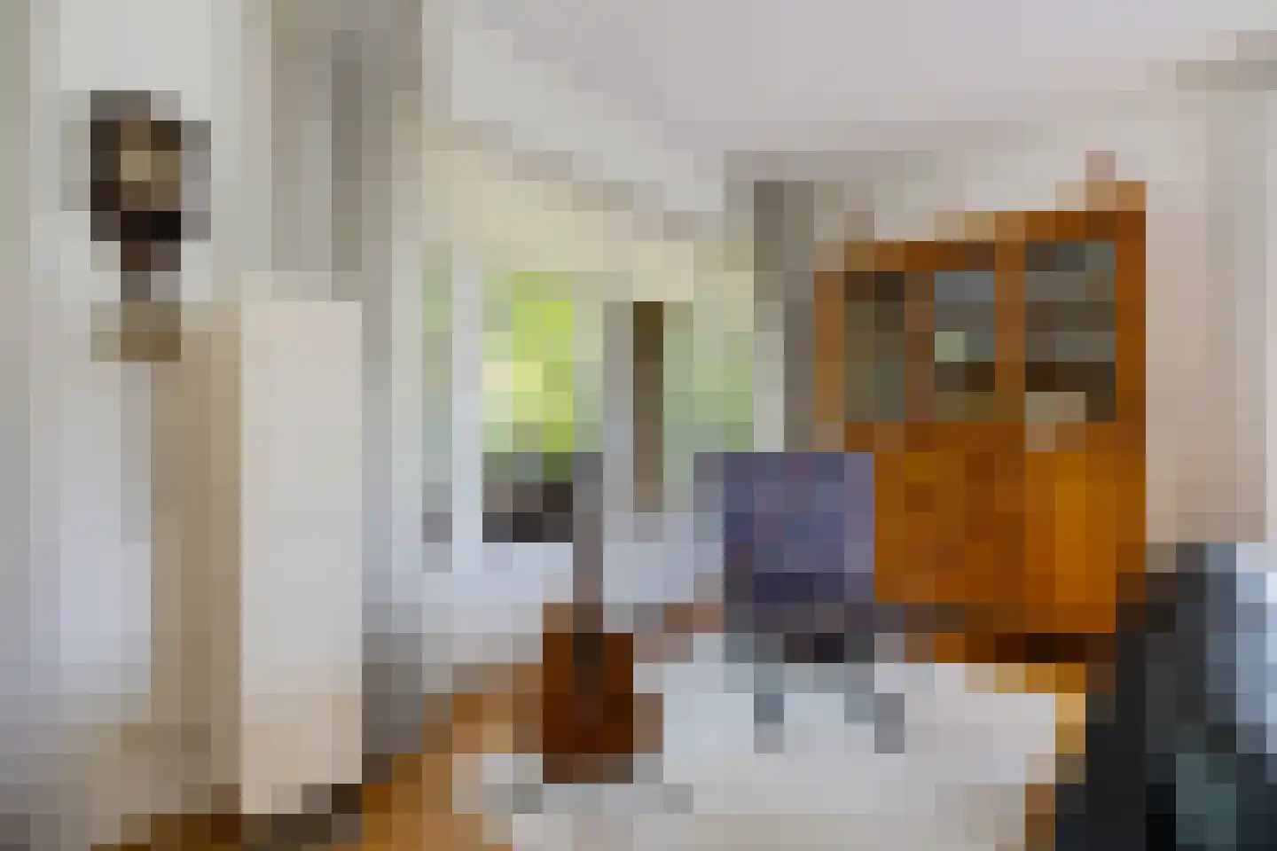 Boonakker 6 Oosterhesselen thumbnail 14