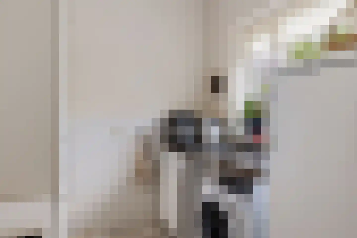 Boonakker 6 Oosterhesselen thumbnail 25