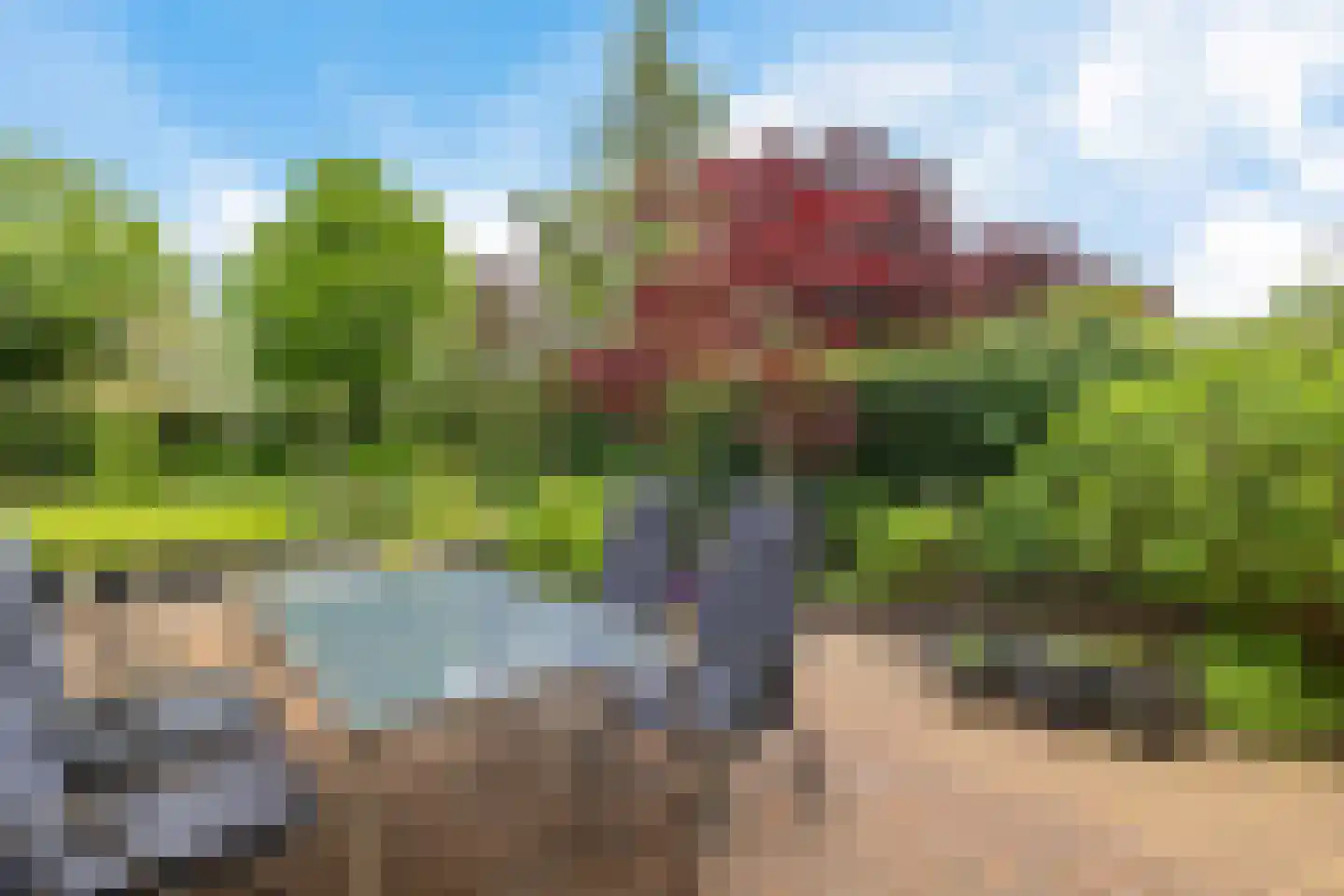 Boonakker 6 Oosterhesselen thumbnail 43