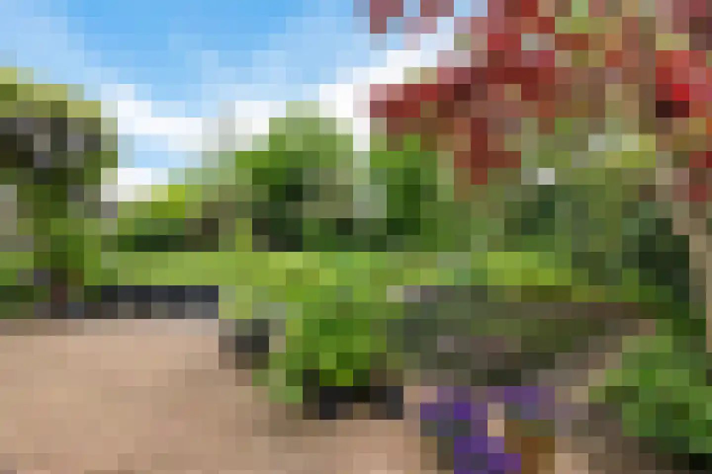 Boonakker 6 Oosterhesselen thumbnail 44