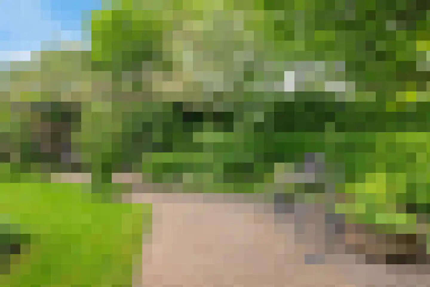 Boonakker 6 Oosterhesselen thumbnail 47