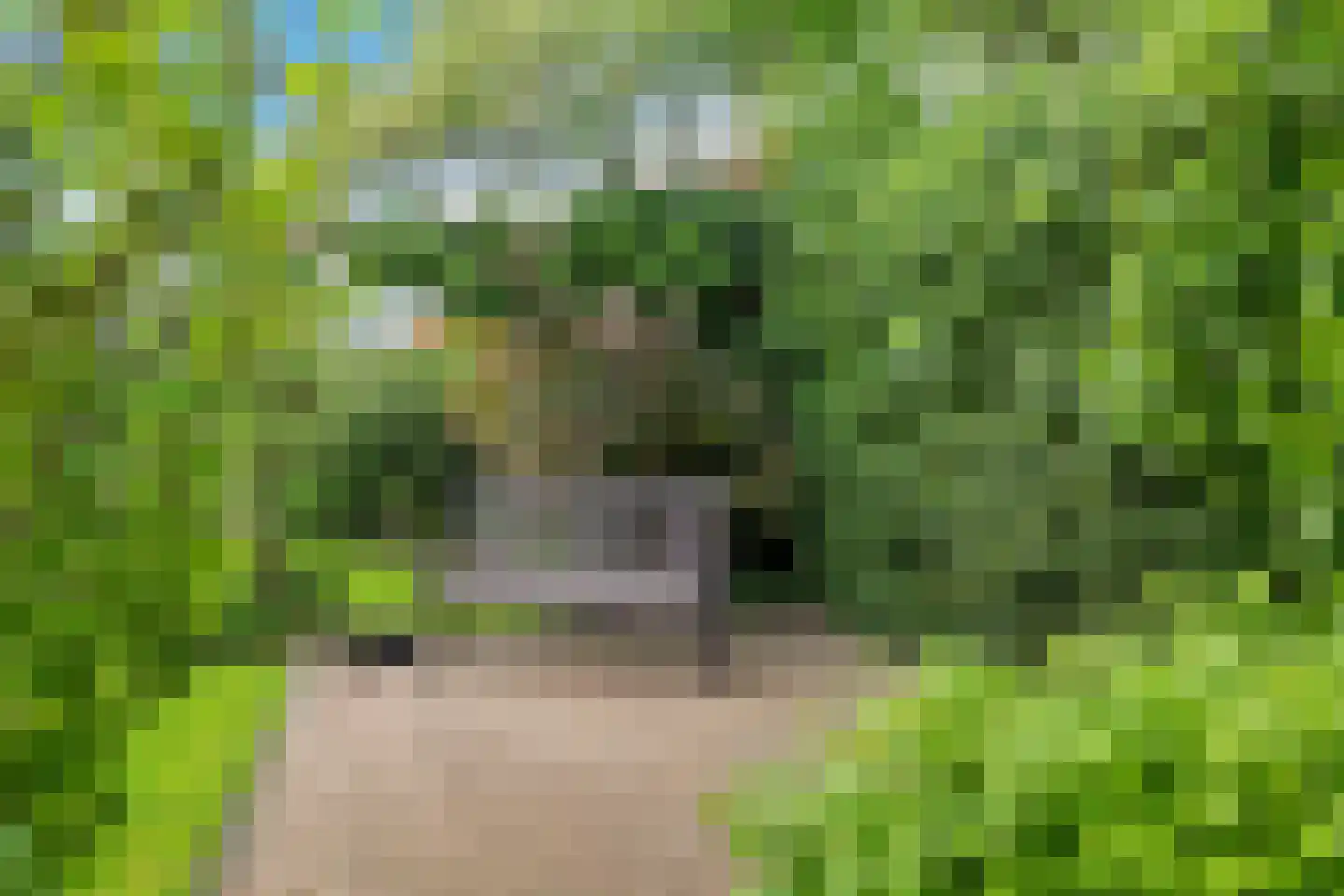 Boonakker 6 Oosterhesselen thumbnail 49