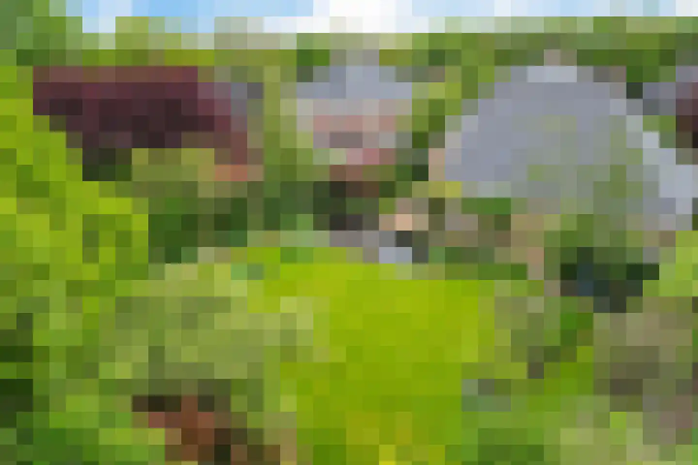 Boonakker 6 Oosterhesselen thumbnail 53