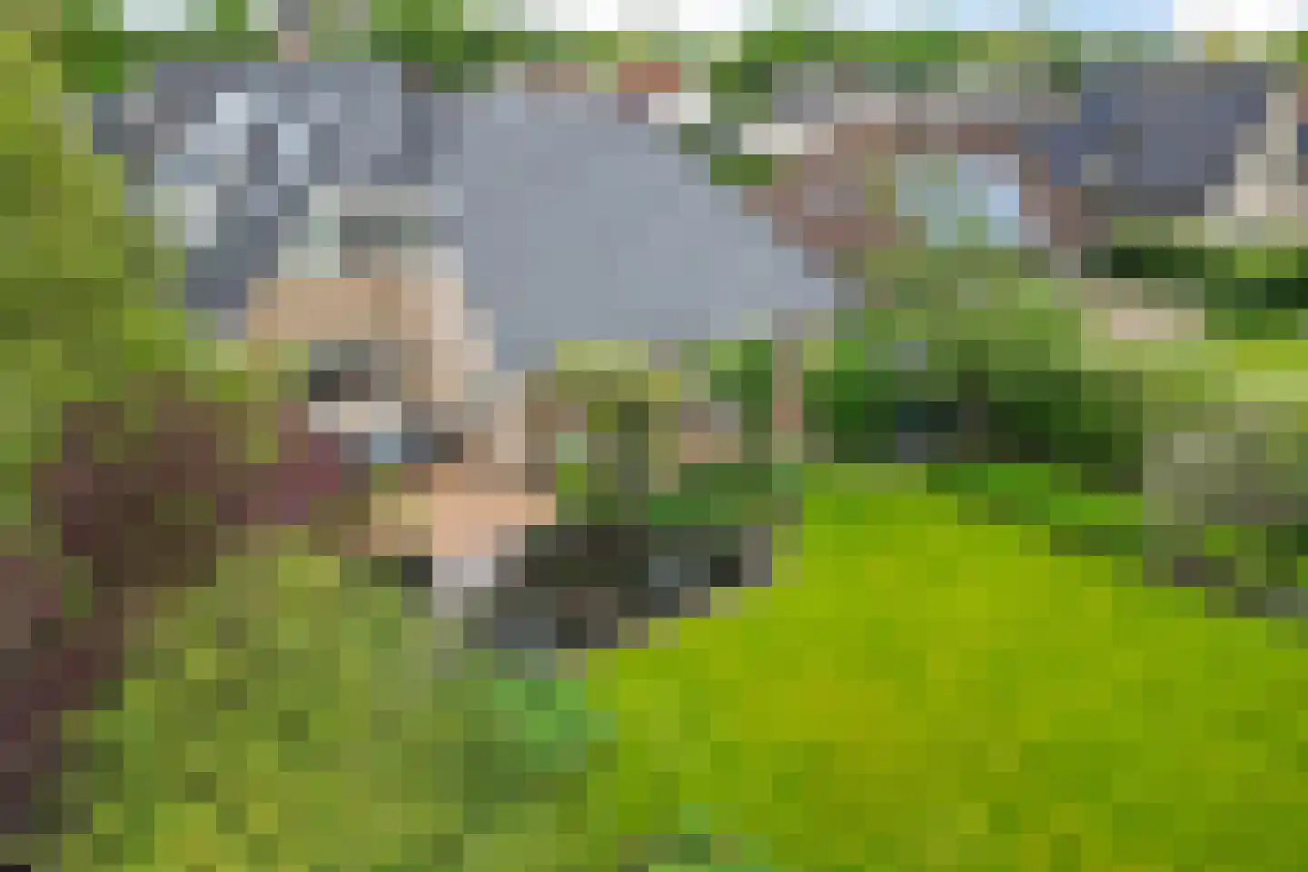 Boonakker 6 Oosterhesselen thumbnail 54