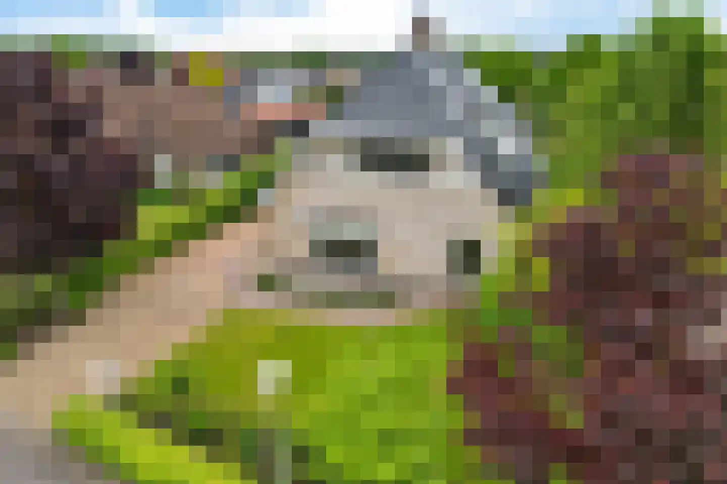 Boonakker 6 Oosterhesselen thumbnail 55
