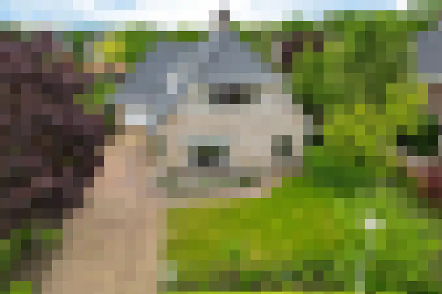 Boonakker 6 Oosterhesselen thumbnail 56
