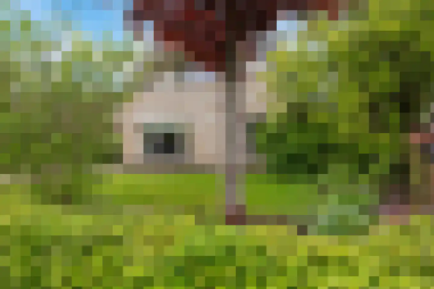Boonakker 6 Oosterhesselen thumbnail 6
