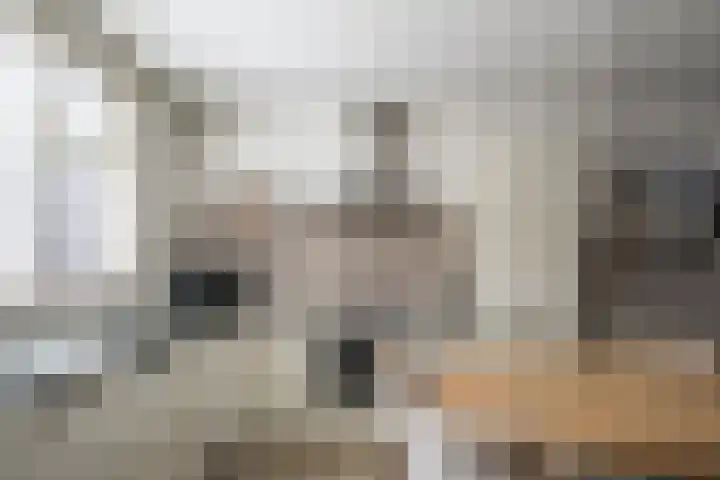 Boonakkersteeg 4 A Egmond-Binnen thumbnail 11