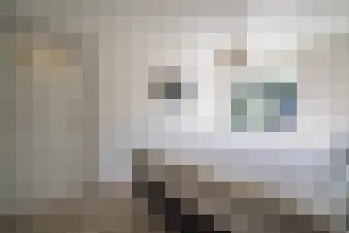 Boonakkersteeg 4 A Egmond-Binnen thumbnail 18