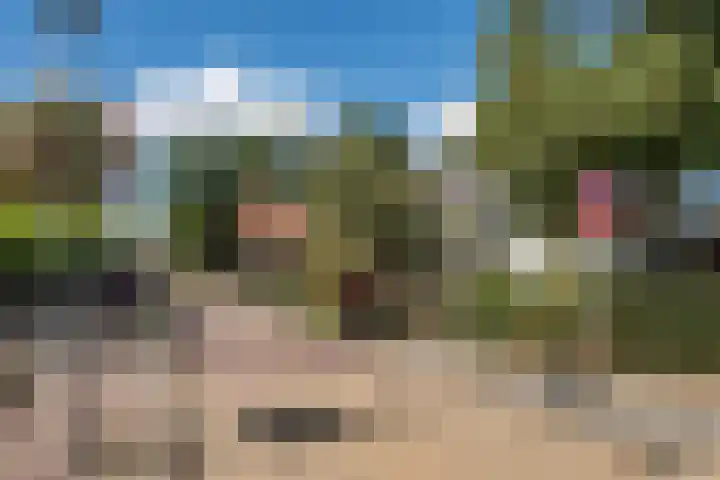 Boonakkersteeg 4 A Egmond-Binnen thumbnail 38