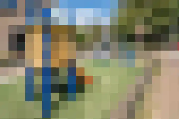 Boonakkersteeg 4 A Egmond-Binnen thumbnail 39
