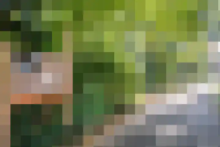 Boonakkersteeg 4 A Egmond-Binnen thumbnail 40