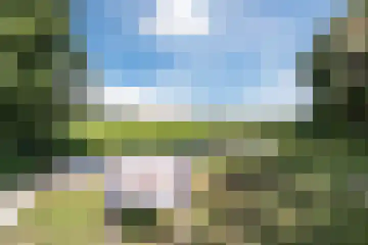 Boonakkersteeg 4 A Egmond-Binnen thumbnail 41