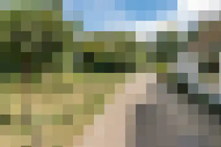 Boonakkersteeg 4 A Egmond-Binnen thumbnail 42