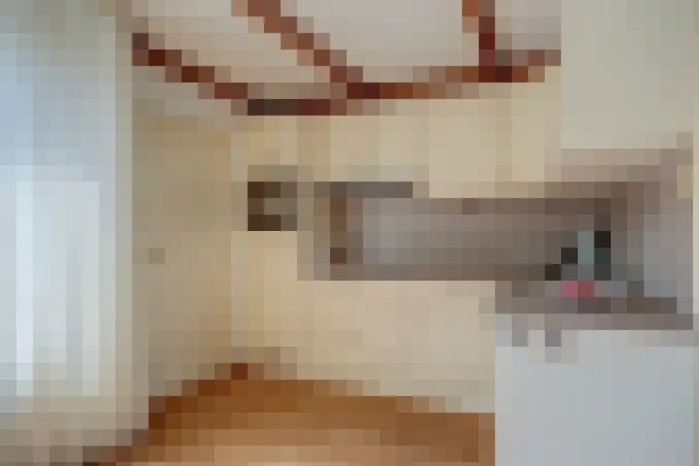 Boonakkersteeg 4 B Egmond-Binnen thumbnail 16