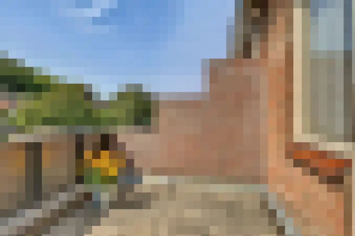 Boonakkersteeg 4 B Egmond-Binnen thumbnail 28
