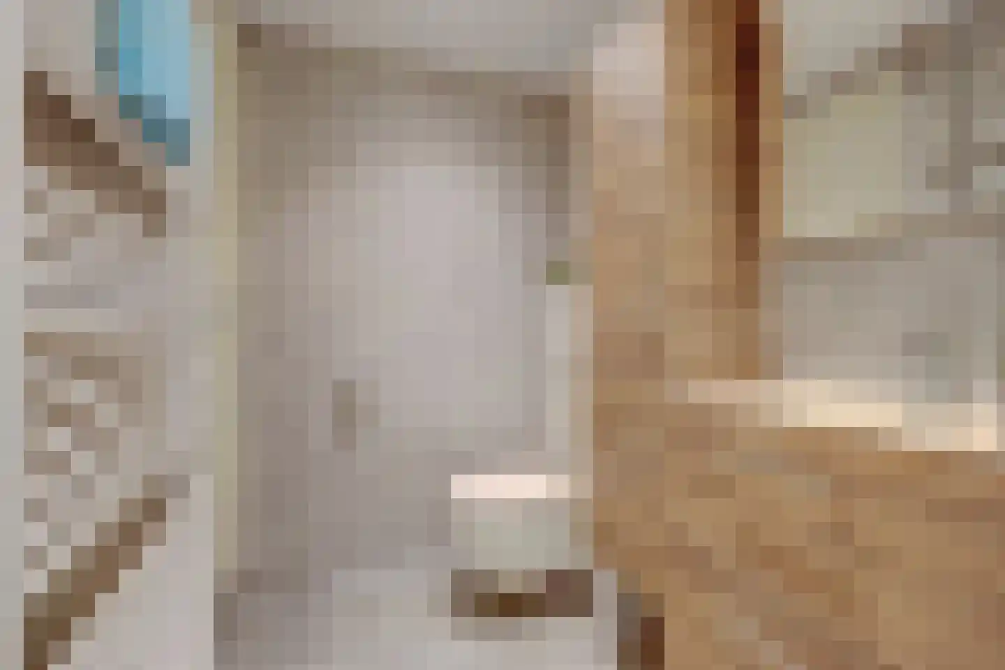 Boonakkersteeg 4 B Egmond-Binnen thumbnail 31