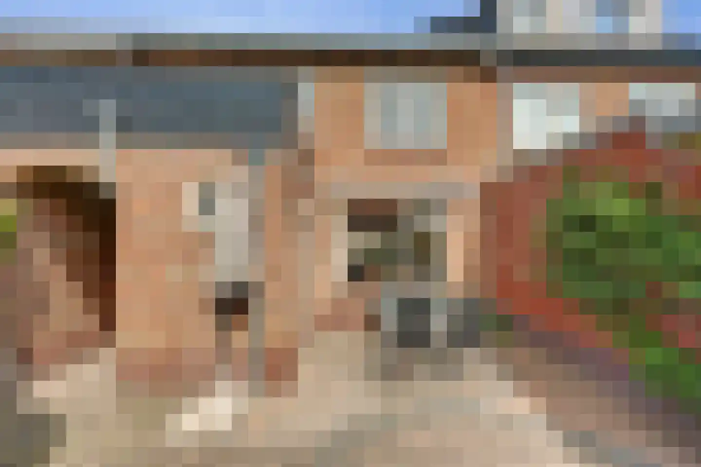 Boonakkersteeg 4 B Egmond-Binnen thumbnail 33