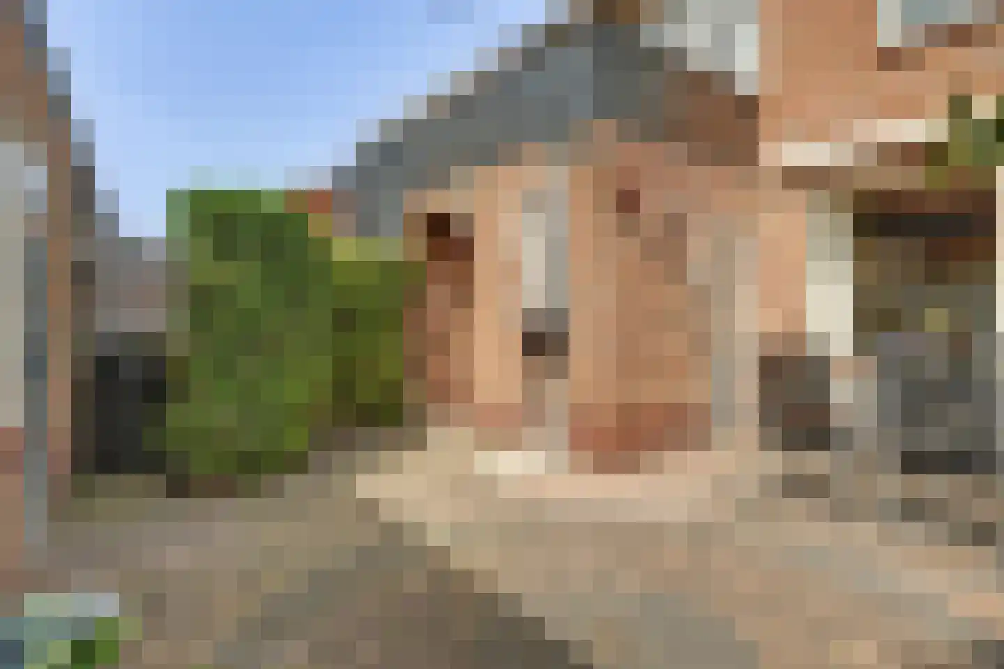 Boonakkersteeg 4 B Egmond-Binnen thumbnail 34