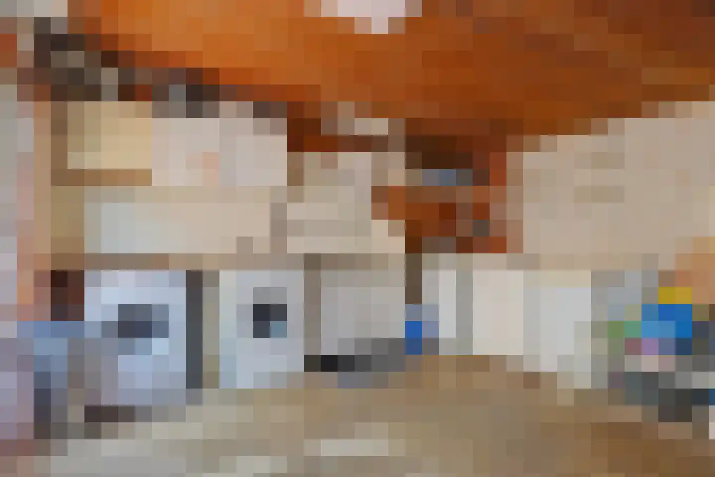 Boonakkersteeg 4 B Egmond-Binnen thumbnail 36