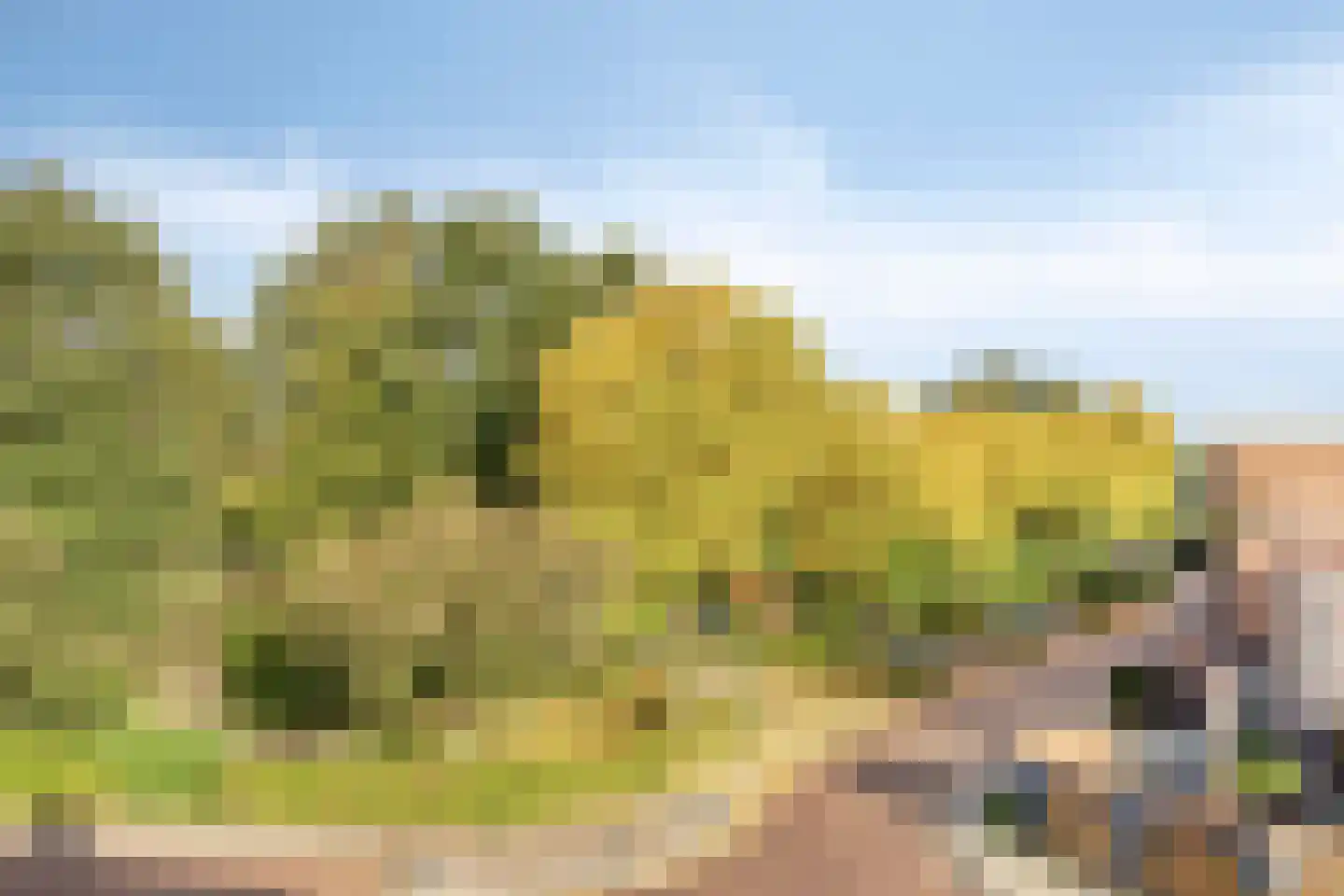 Boonberg 26 Veldhoven thumbnail 44