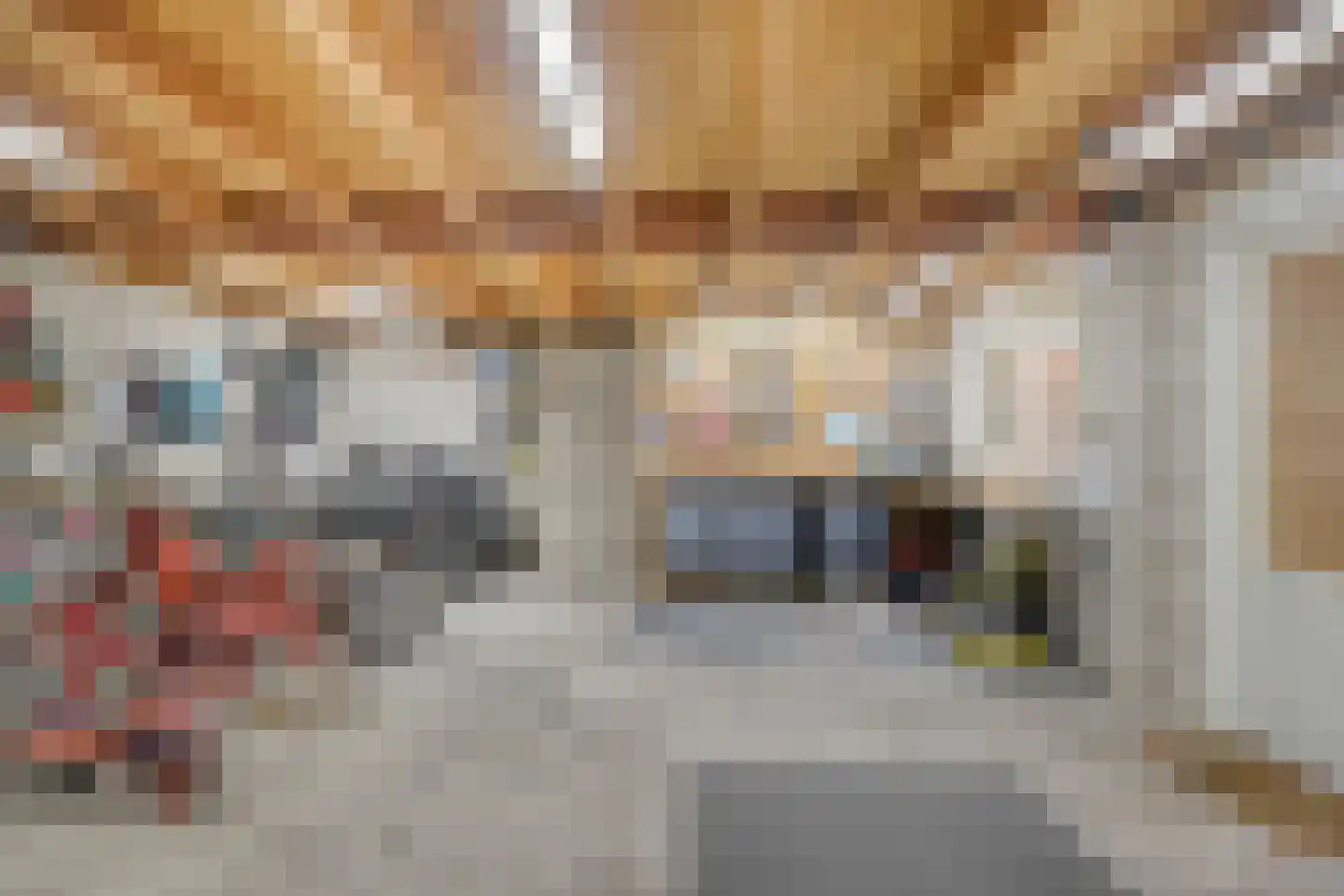 Boonberg 26 Veldhoven thumbnail 48