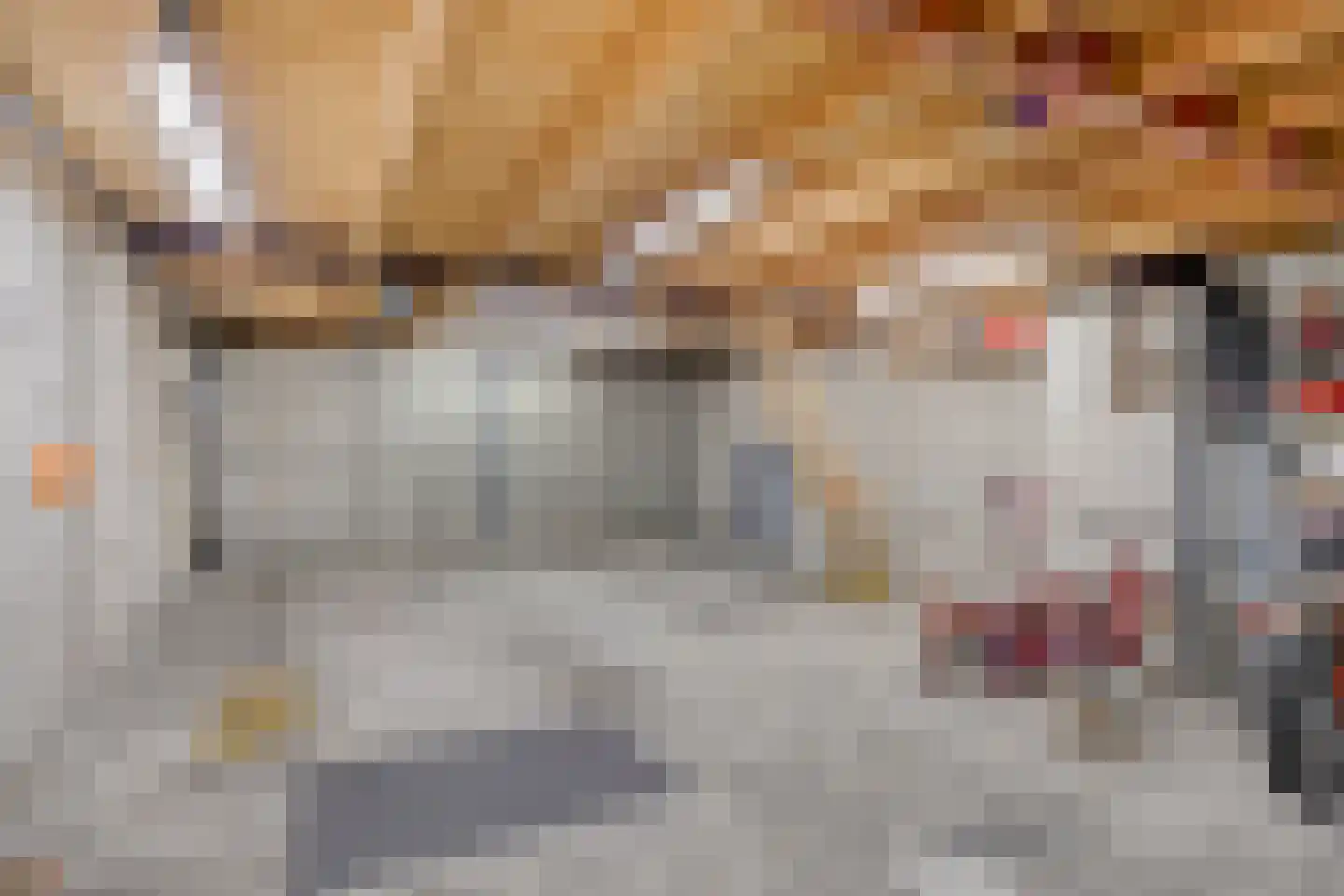 Boonberg 26 Veldhoven thumbnail 49