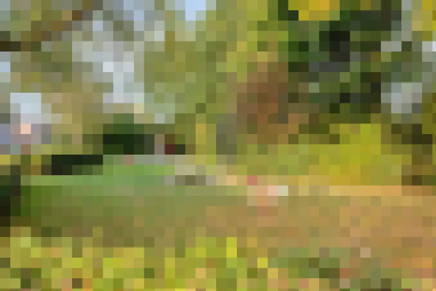 Boonberg 26 Veldhoven thumbnail 69