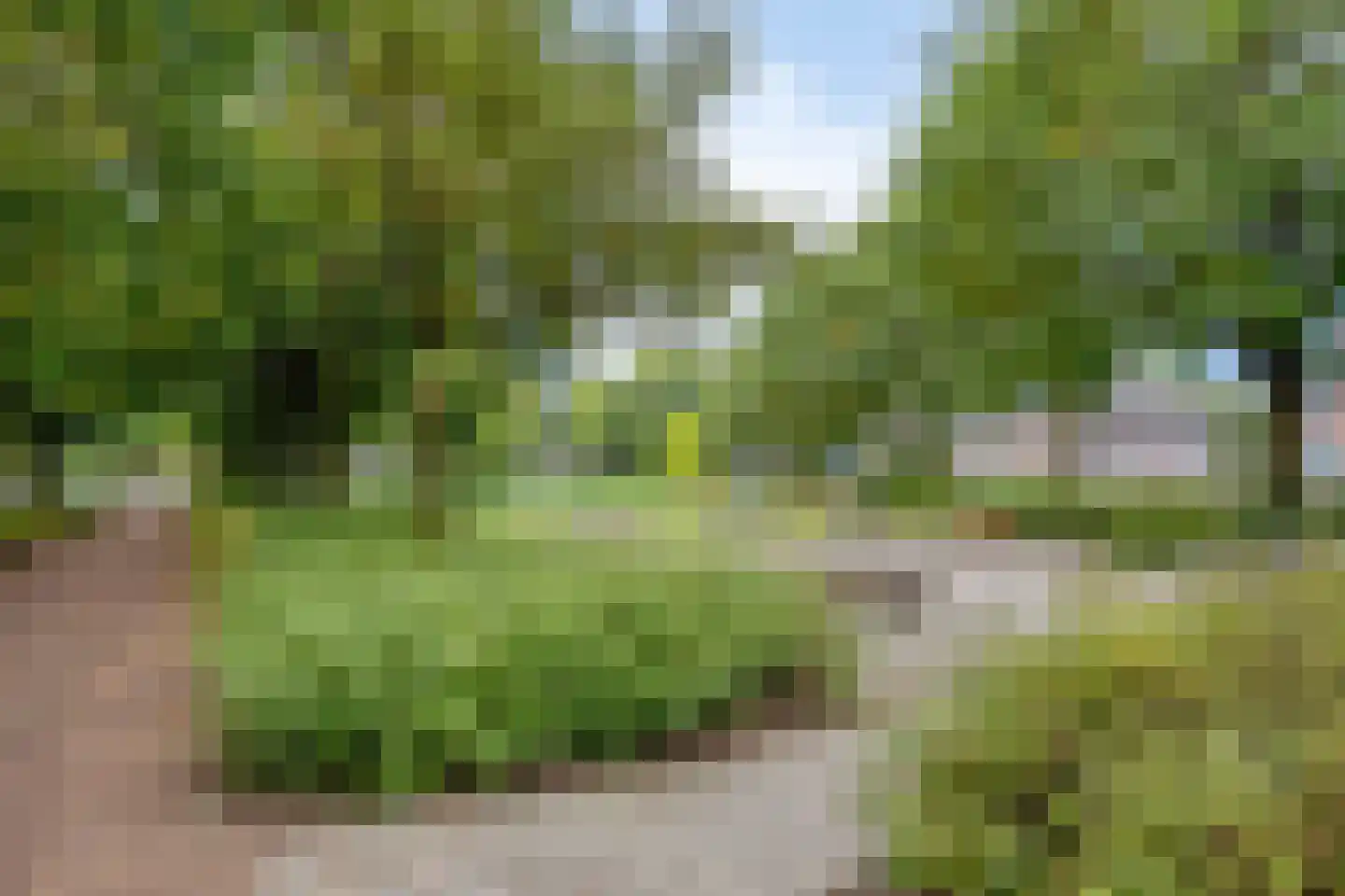 Boonberg 26 Veldhoven thumbnail 71