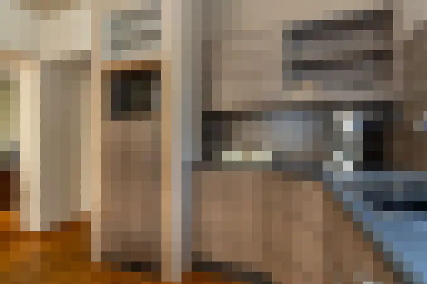 Boonenstraat 21 Stramproy thumbnail 11