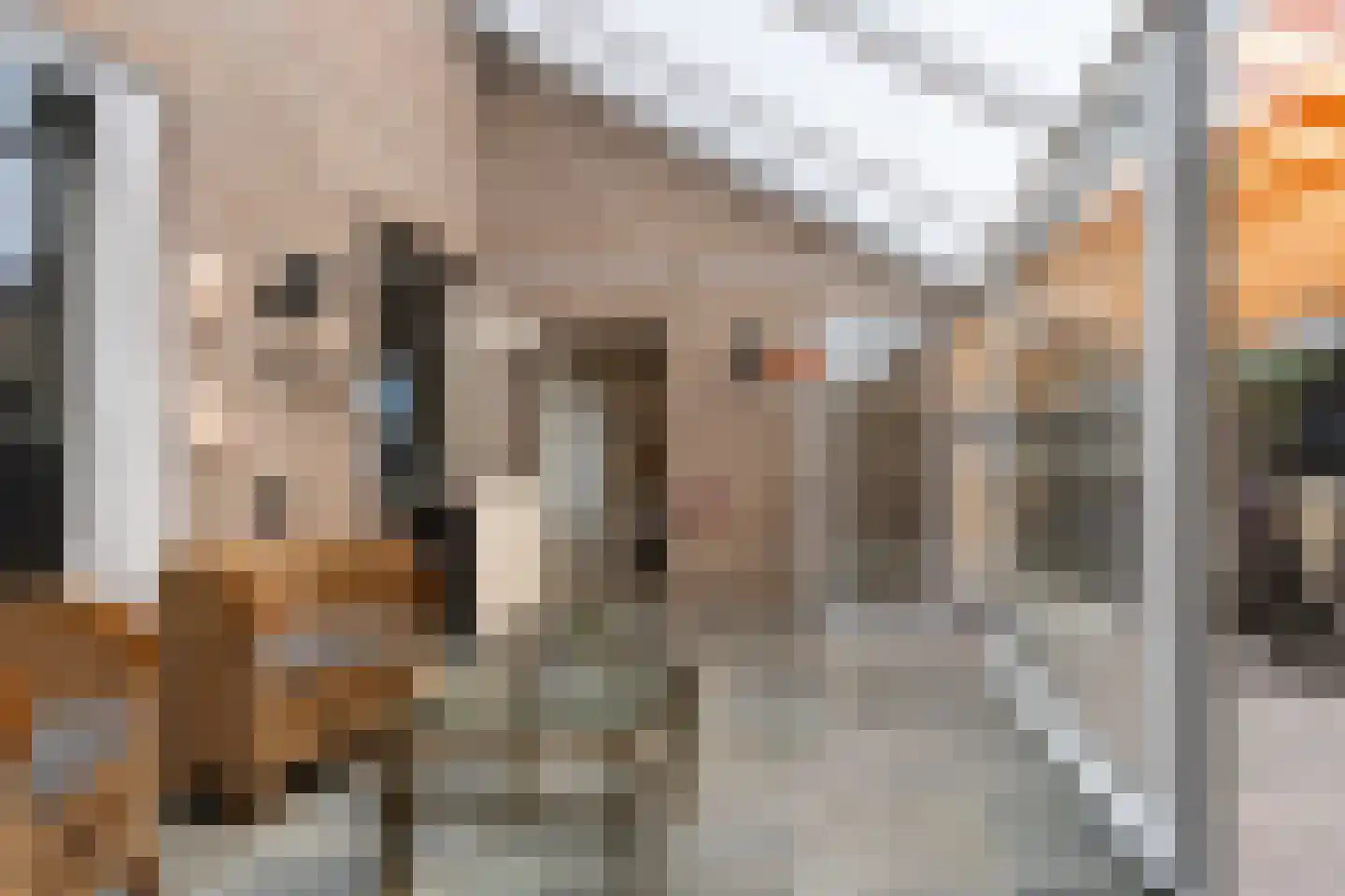 Boonenstraat 21 Stramproy thumbnail 21