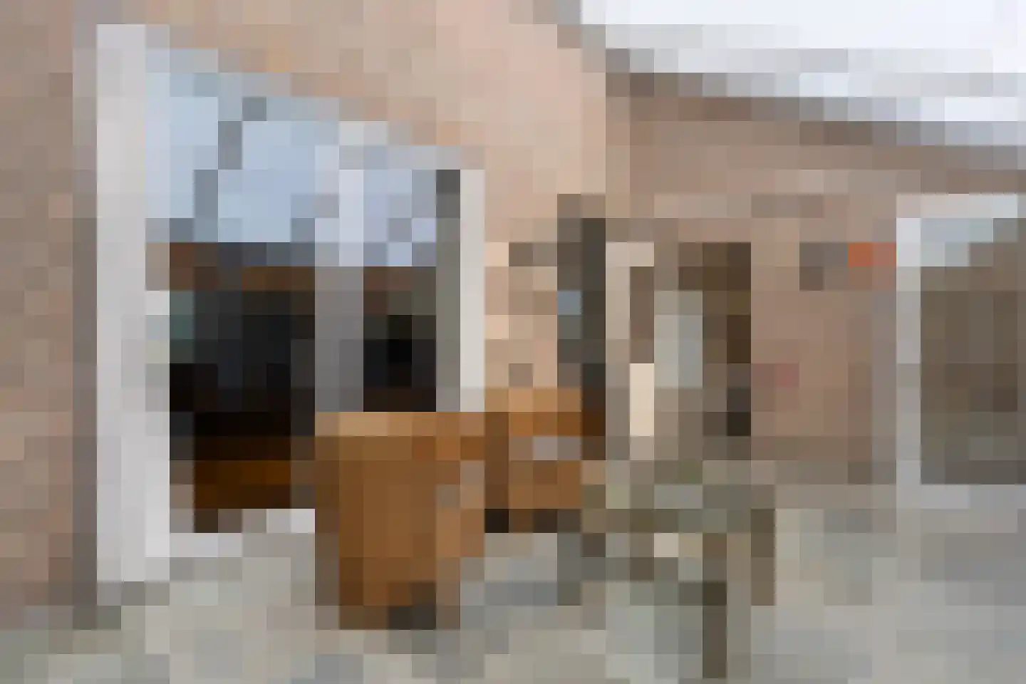 Boonenstraat 21 Stramproy thumbnail 22