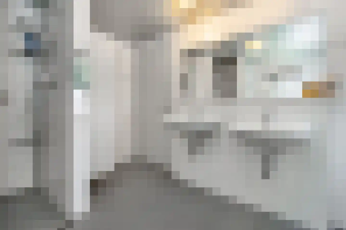 Boonenstraat 21 Stramproy thumbnail 32