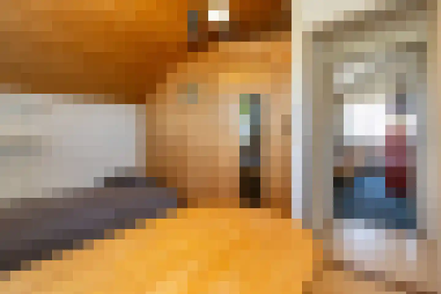 Boonenstraat 21 Stramproy thumbnail 39