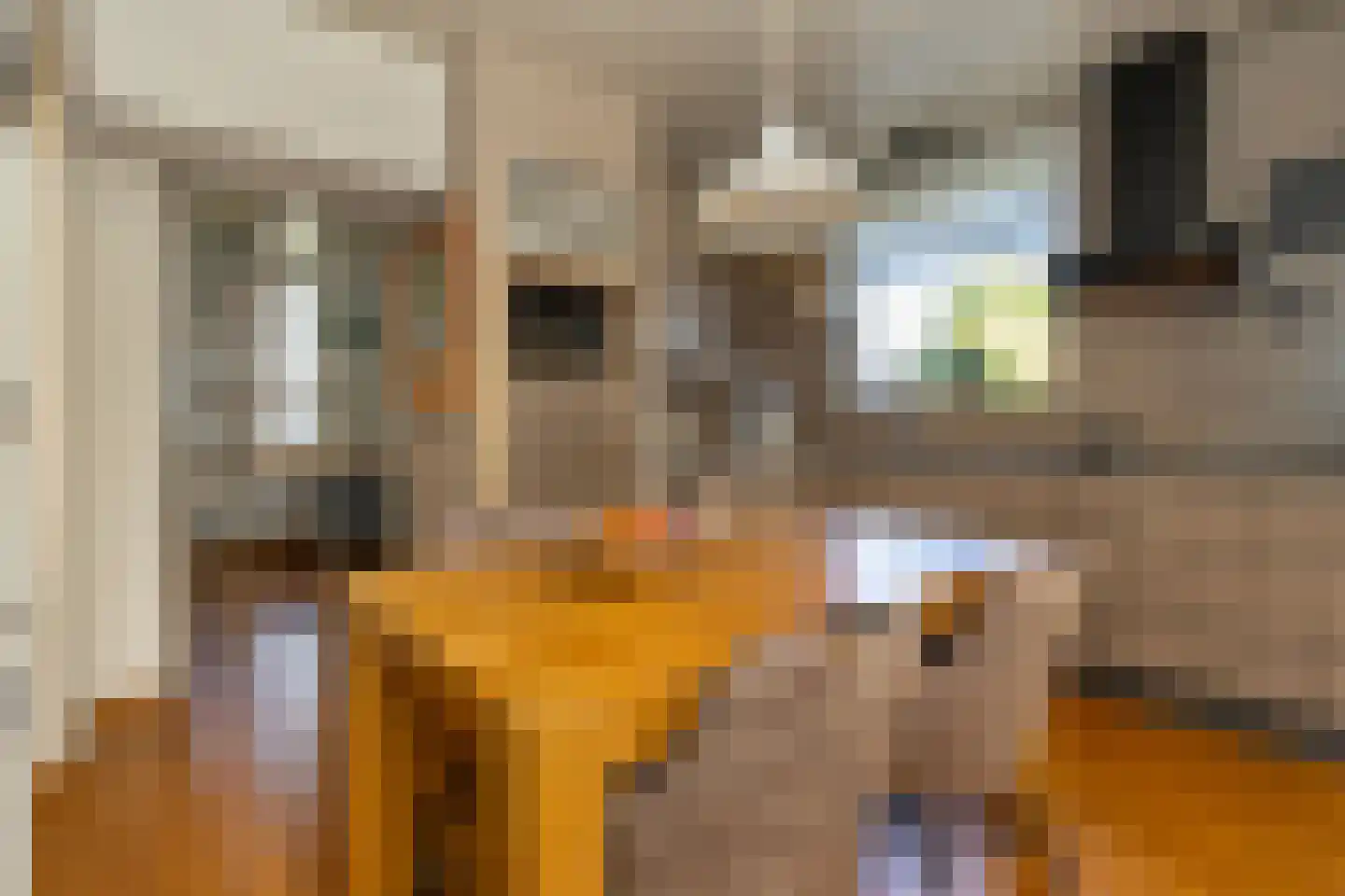Boonenstraat 21 Stramproy thumbnail 8