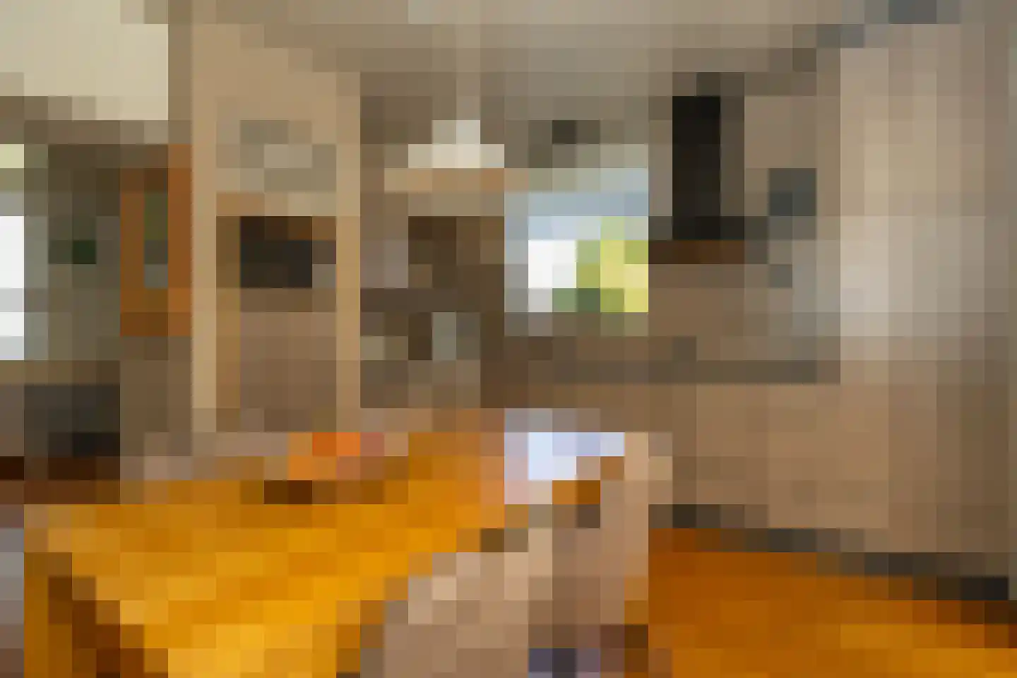 Boonenstraat 21 Stramproy thumbnail 9