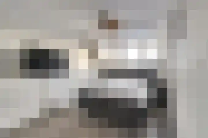Boonkamp 1 Ammerzoden thumbnail 15