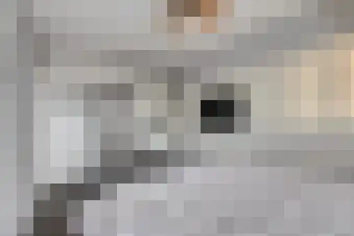 Boonkamp 1 Ammerzoden thumbnail 16