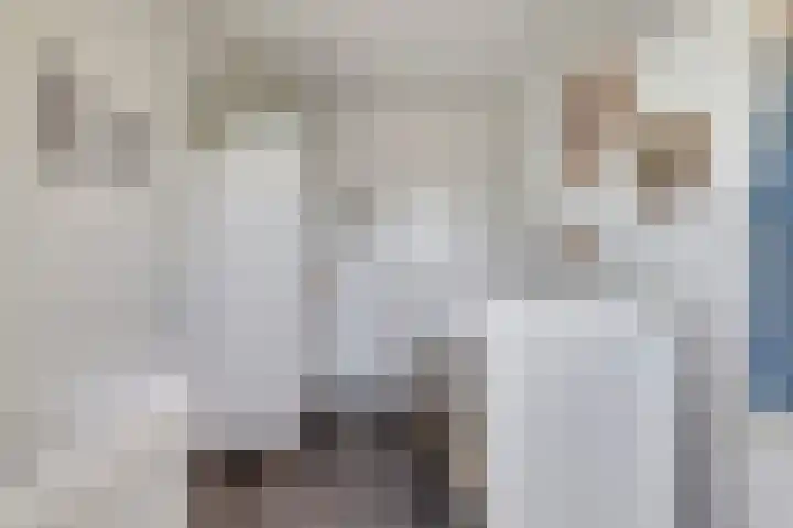 Boonkamp 1 Ammerzoden thumbnail 21