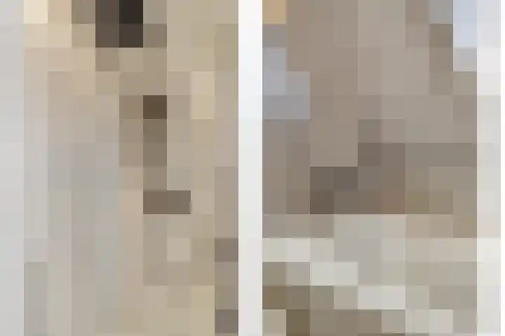 Boonkamp 1 Ammerzoden thumbnail 24