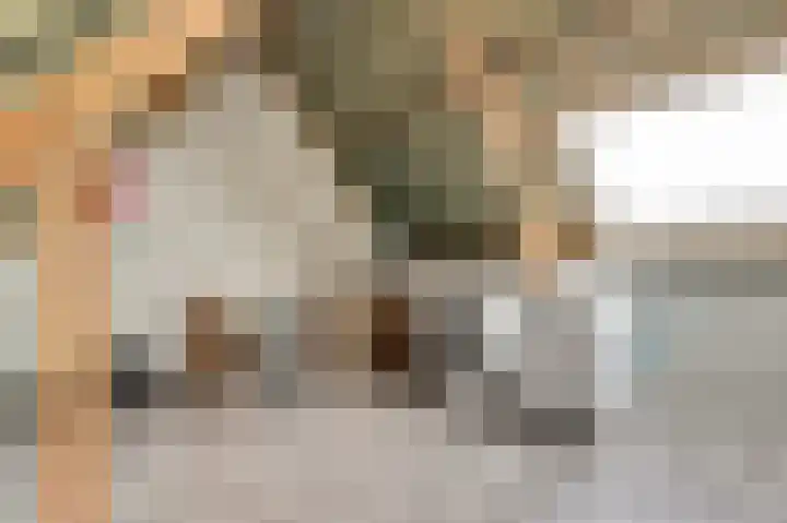 Boonkamp 1 Ammerzoden thumbnail 26